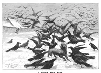 Picture 10 of 13 from Scientific American, Vol. 52, No. 15 (April 1885) (1885), leaf 8