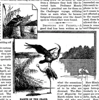 Picture 11 of 17 from Scientific American, Vol. 52, No. 17 (April 1885) (1885), leaf 8