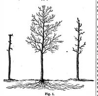 Picture 13 of 17 from Scientific American, Vol. 52, No. 17 (April 1885) (1885), leaf 9