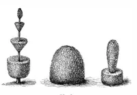 Picture 14 of 17 from Scientific American, Vol. 52, No. 17 (April 1885) (1885), leaf 9