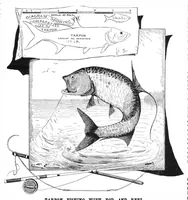 Picture 9 of 10 from Scientific American, Vol. 52, No. 21 (May 1885) (1885), leaf 8