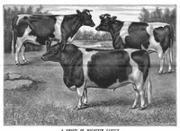 Picture 11 of 12 from Scientific American, Vol. 53, No. 1 (July 1885) (1885), leaf 9