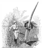 Picture 8 of 9 from Scientific American, Vol. 53, No. 3 (July 1885) (1885), leaf 8