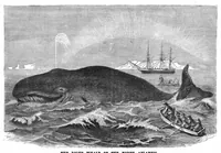 An illustration from Scientific American, Vol. 53, No. 6 (August 1885) (1885)