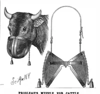 An illustration from Scientific American, Vol. 53, No. 7 (August 1885) (1885)