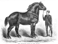 An illustration from Scientific American, Vol. 53, No. 8 (August 1885) (1885)