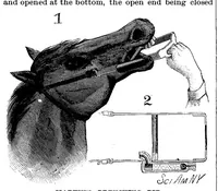An illustration from Scientific American, Vol. 53, No. 11 (September 1885) (1885)