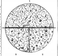 An illustration from Scientific American, Vol. 53, No. 12 (September 1885) (1885)
