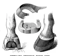 Picture 2 of 19 from Scientific American, Vol. 53, No. 13 (September 1885) (1885), leaf 3