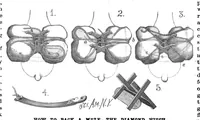 Picture 14 of 17 from Scientific American, Vol. 53, No. 20 (November 1885) (1885), leaf 9