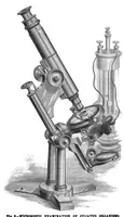 An illustration from Scientific American, Vol. 53, No. 21 (November 1885) (1885)