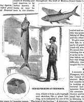 An illustration from Scientific American, Vol. 53, No. 23 (December 1885) (1885)
