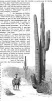 An illustration from Scientific American, Vol. 53, No. 24 (December 1885) (1885)