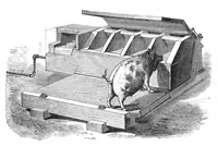 An illustration from Scientific American, Vol. 54, No. 2 (January 1886) (1886)