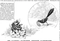 An illustration from Scientific American, Vol. 54, No. 4 (January 1886) (1886)