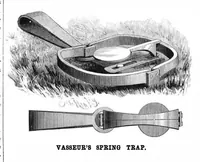 Picture 4 of 14 from Scientific American, Vol. 54, No. 6 (February 1886) (1886), leaf 3