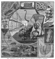 An illustration from Scientific American, Vol. 54, No. 16 (April 1886) (1886)