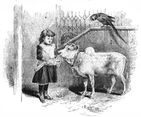 Picture 11 of 14 from Scientific American, Vol. 54, No. 16 (April 1886) (1886), leaf 10