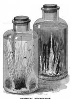 Picture 12 of 14 from Scientific American, Vol. 54, No. 23 (June 1886) (1886), leaf 10