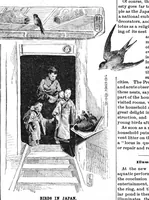 Picture 13 of 16 from Scientific American, Vol. 54, No. 25 (June 1886) (1886), leaf 10