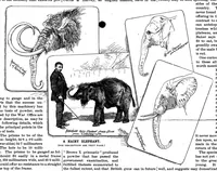 Picture 8 of 11 from Scientific American, Vol. 54, No. 26 (June 1886) (1886), leaf 8