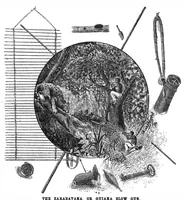 Picture 16 of 17 from Scientific American, Vol. 55, No. 8 (August 1886) (1886), leaf 10