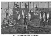 Picture 13 of 17 from Scientific American, Vol. 55, No. 8 (August 1886) (1886), leaf 9