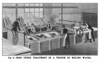 Picture 14 of 17 from Scientific American, Vol. 55, No. 8 (August 1886) (1886), leaf 9