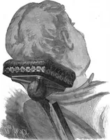 Picture 7 of 24 from Scientific American, Vol. 55, No. 9 (August 1886) (1886), leaf 4