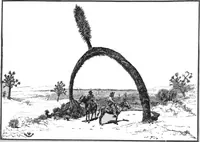 Picture 16 of 24 from Scientific American, Vol. 55, No. 9 (August 1886) (1886), leaf 8