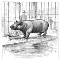An illustration from Scientific American, Vol. 55, No. 20 (November 1886) (1886)
