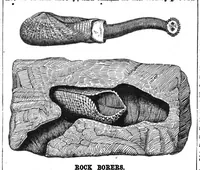 Picture 16 of 20 from Scientific American, Vol. 55, No. 20 (November 1886) (1886), leaf 9