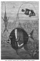 An illustration from Scientific American, Vol. 55, No. 21 (November 1886) (1886)