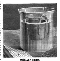 Picture 8 of 18 from Scientific American, Vol. 55, No. 23 (December 1886) (1886), leaf 5