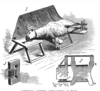 An illustration from Scientific American, Vol. 55, No. 24 (December 1886) (1886)