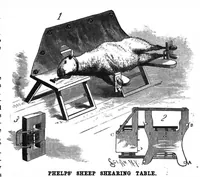 Picture 7 of 16 from Scientific American, Vol. 56, No. 8 (February 1887) (1887), leaf 5