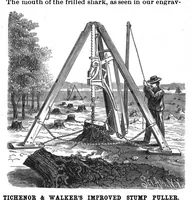 Picture 4 of 19 from Scientific American, Vol. 56, No. 9 (February 1887) (1887), leaf 3