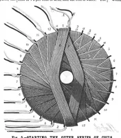 Picture 10 of 15 from Scientific American, Vol. 56, No. 17 (April 1887) (1887), leaf 7