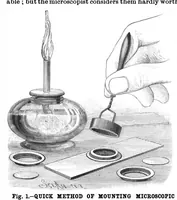 An illustration from Scientific American, Vol. 56, No. 19 (May 1887) (1887)