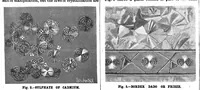 Picture 13 of 14 from Scientific American, Vol. 56, No. 21 (May 1887) (1887), leaf 10