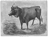 Picture 12 of 16 from Scientific American, Vol. 56, No. 22 (May 1887) (1887), leaf 8