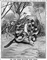 An illustration from Scientific American, Vol. 56, No. 23 (June 1887) (1887)