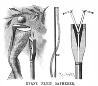 An illustration from Scientific American, Vol. 56, No. 24 (June 1887) (1887)