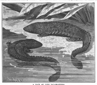 Picture 11 of 14 from Scientific American, Vol. 56, No. 24 (June 1887) (1887), leaf 8