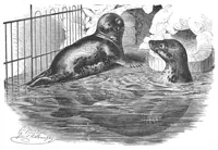 An illustration from Scientific American, Vol. 57, No. 5 (July 1887) (1887)