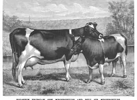 An illustration from Scientific American, Vol. 57, No. 5 (July 1887) (1887)