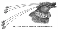Picture 8 of 12 from Scientific American, Vol. 57, No. 14 (October 1887) (1887), leaf 8