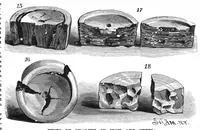 An illustration from Scientific American, Vol. 57, No. 15 (October 1887) (1887)
