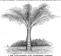 An illustration from Scientific American, Vol. 57, No. 20 (November 1887) (1887)