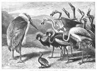 An illustration from Scientific American, Vol. 57, No. 24 (December 1887) (1887)